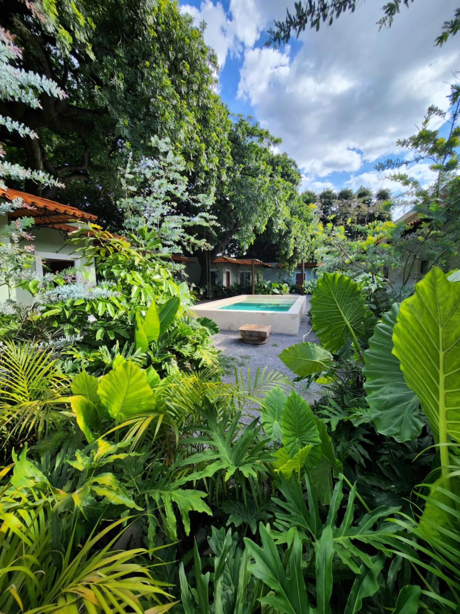 Hotel Boutique Villa Escondida, A Pasos De Lo Mejor En Tlaquepaque Bagian luar foto
