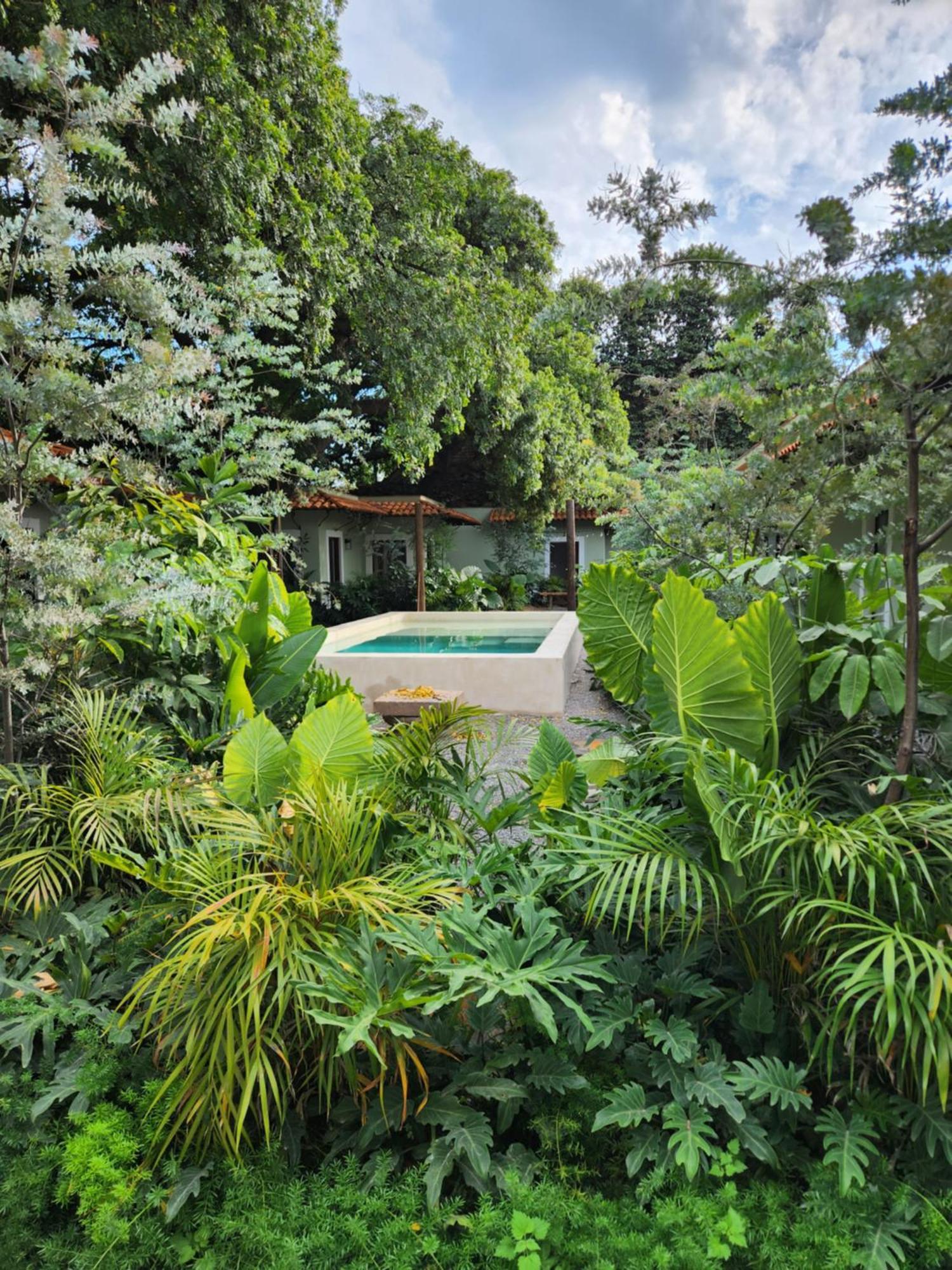 Hotel Boutique Villa Escondida, A Pasos De Lo Mejor En Tlaquepaque Bagian luar foto